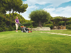 Lawnmowers_H360-0092_large